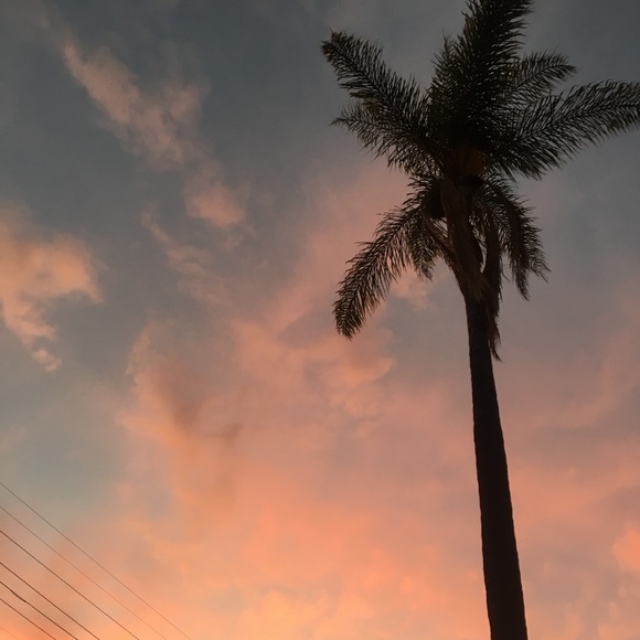 Meet your Posher, Naomi - Picture 3 of 3